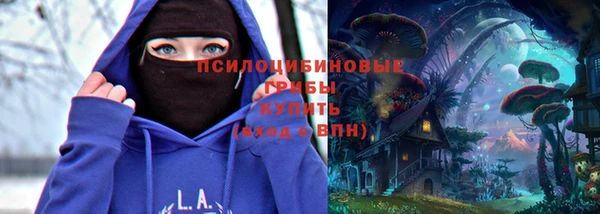 a pvp Абаза