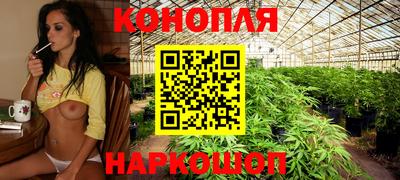 молекула духа Славянск-на-Кубани