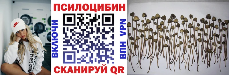 Галлюциногенные грибы мухоморы shop как зайти Уварово